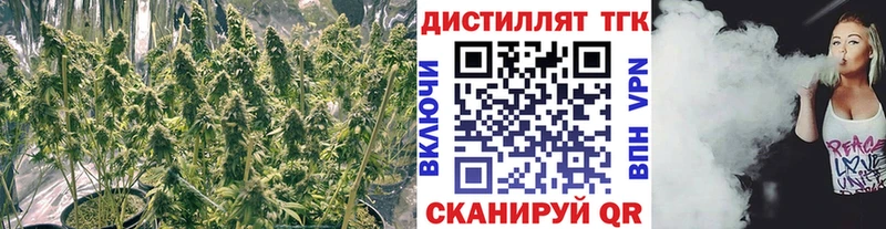 Дистиллят ТГК THC oil  Купить где  Елабуга 